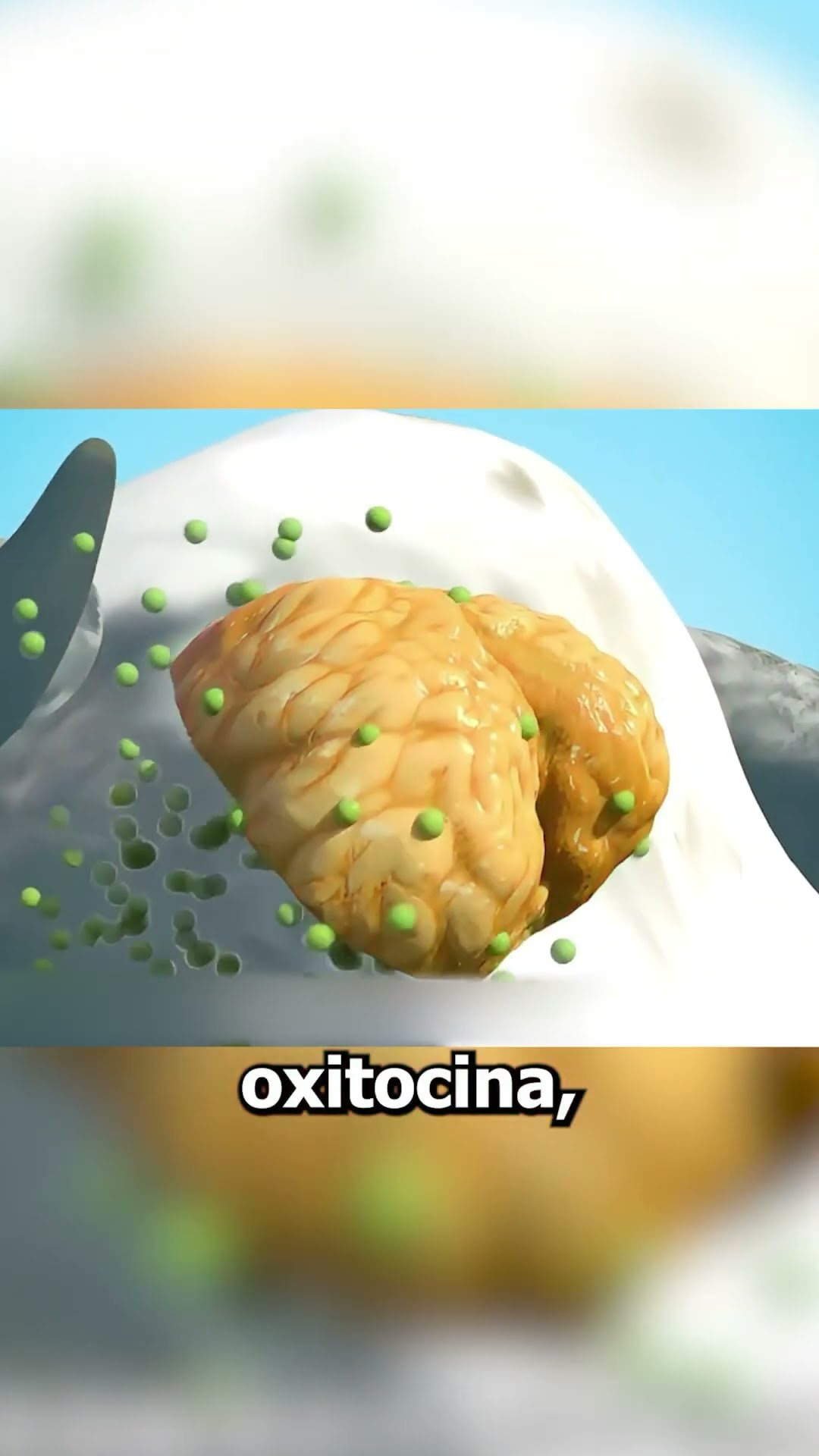 Como ORDEÑAR una VACA??