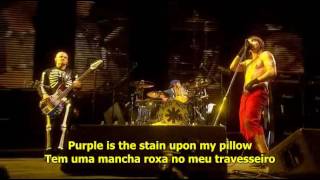 10 - Purple Stain - Red Hot Chili Peppers Live at Slane Castle (Legendado\Traduzido) PT-BR