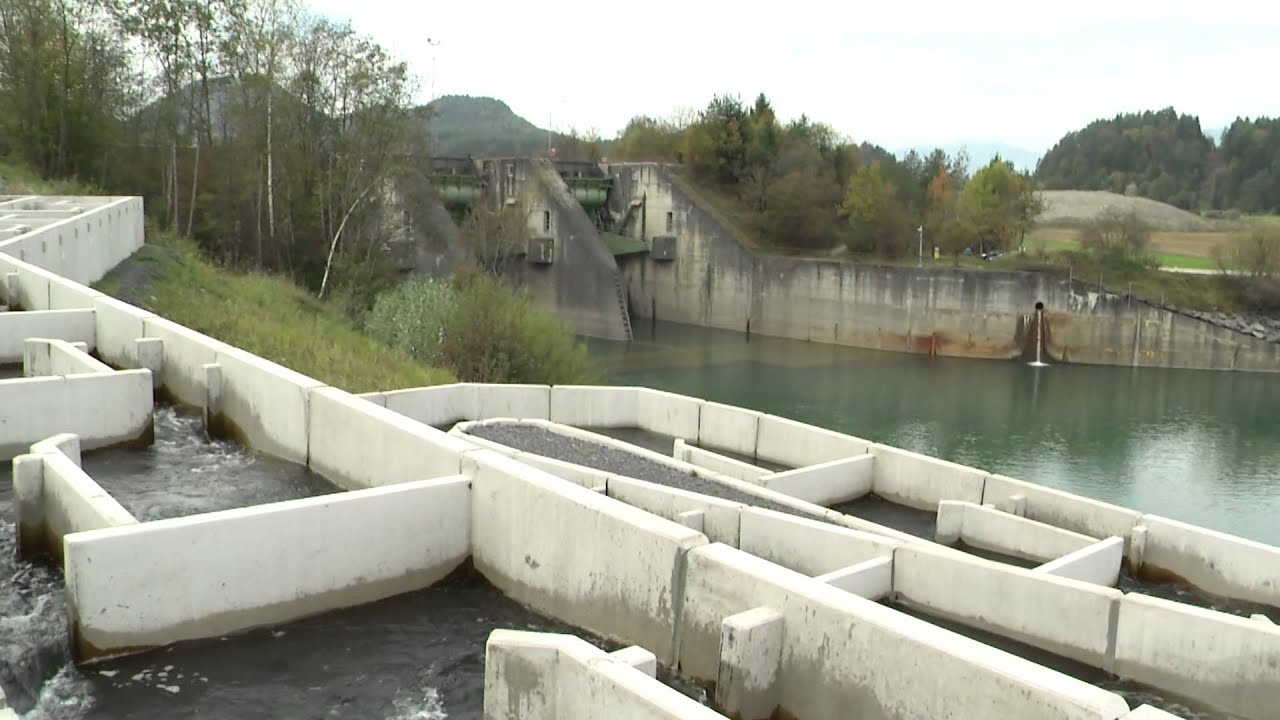 Lebensraum Wasser - Eröffnung Fischwanderhilfe Wehr St. Martin beim Kraftwerk Rosegg-St. Jakob