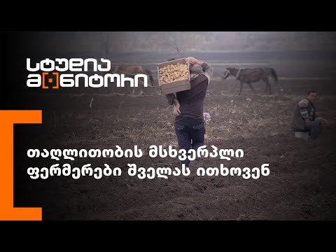 თაღლითობის მსხვერპლი ფერმერები შველას ითხოვენ