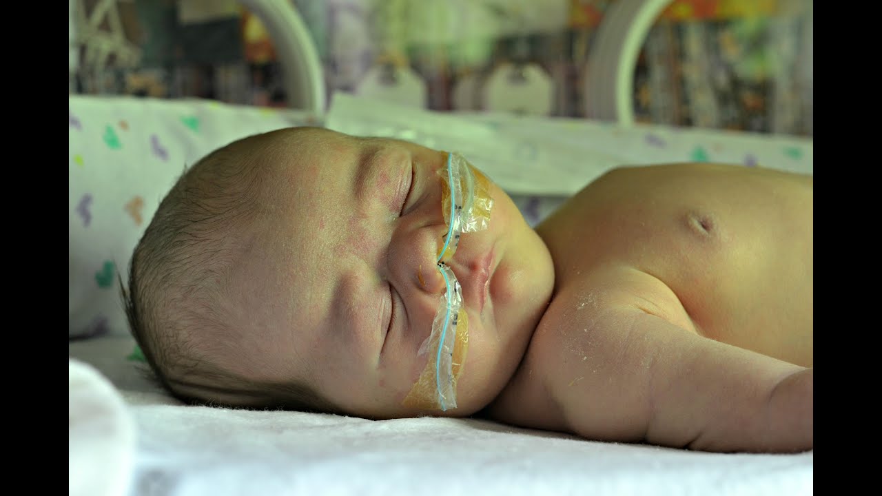 DAISY NELLE | Charlotte Taylor