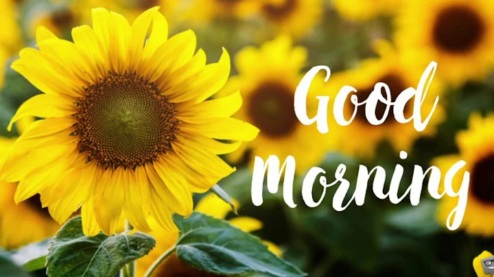 Good Morning Meditation (10 Minutes)