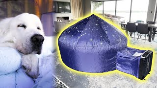 WE BUILT THE ULTIMATE CUDDLE FORT! by SuperCooper 735,106 views 2 years ago 6 minutes, 17 seconds