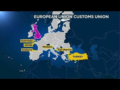 Why have a customs union?