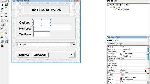 Guardar Datos con Visual Basic y VisDATA