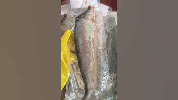 Cá thát lát rút xương Tuấn Cường