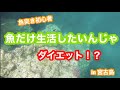 #11「魚だけ生活ダイエット　1日目」魚突き初心者【宮古島】