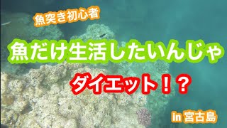 #11「魚だけ生活ダイエット　1日目」魚突き初心者【宮古島】