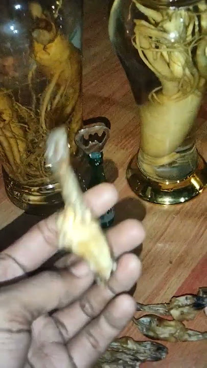 Download lagu Tangkur Buaya Asli