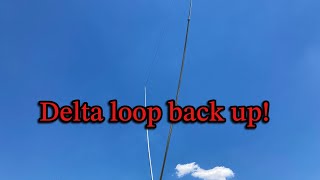 Delta loop back on the air!