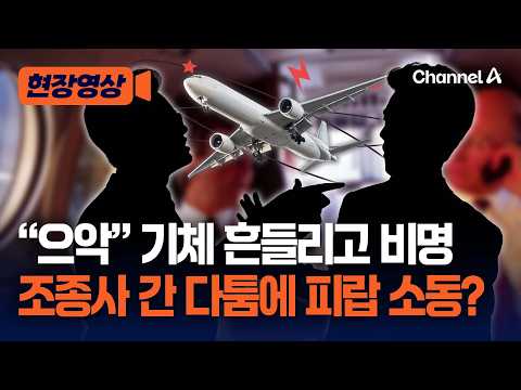 두바이발 텔아비브행 <strong>여객기</strong> 소동 [현장영상] / 채널A