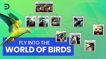 Fly into the World of Birds with EdrawMind
