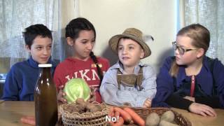 Sokrates Schule Mühlviertel - Missionx - Die Gesunde Jause