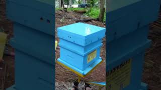 How to Start Honey Bee Farming in India | Complete Beekeeping Business Full Video  in 2025