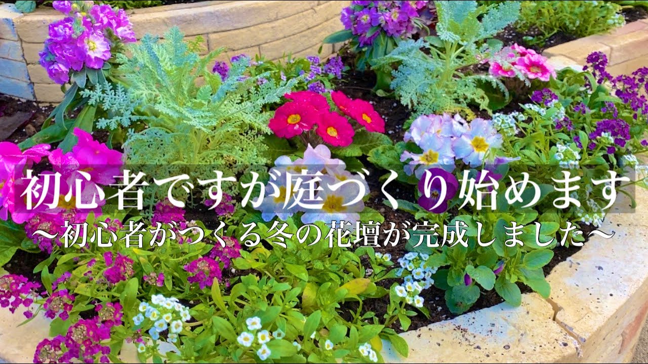 庭づくりdiy 初心者がdiyで作った花壇に冬のお花を植える ガーデニング Youtube