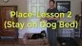 How to Train Your Dog to Stay ile ilgili video