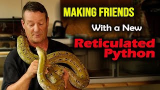 Advanced Handling Tips For Welcoming Home A New Retic