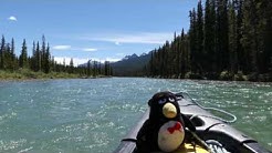 Canoeing the Bow River, Day 1/2 
