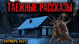 видео: ТАЁЖНЫЕ РАССКАЗЫ | Страшные истории картинка: ТАЁЖНЫЕ РАССКАЗЫ | Страшные истории