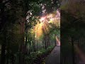 Pure Nature 🌷🍄🌵🌴🌲#nature #beauty  #tech360 #techvlog