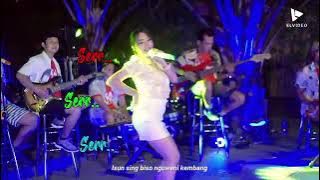 Story Wa|Iki Anane Isun|Luluk darara