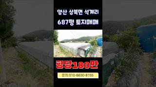 [경남양산 토지매매] 💥687평 도로접! 평당 180만?! 실화냐❗시세보다 싸다🔥