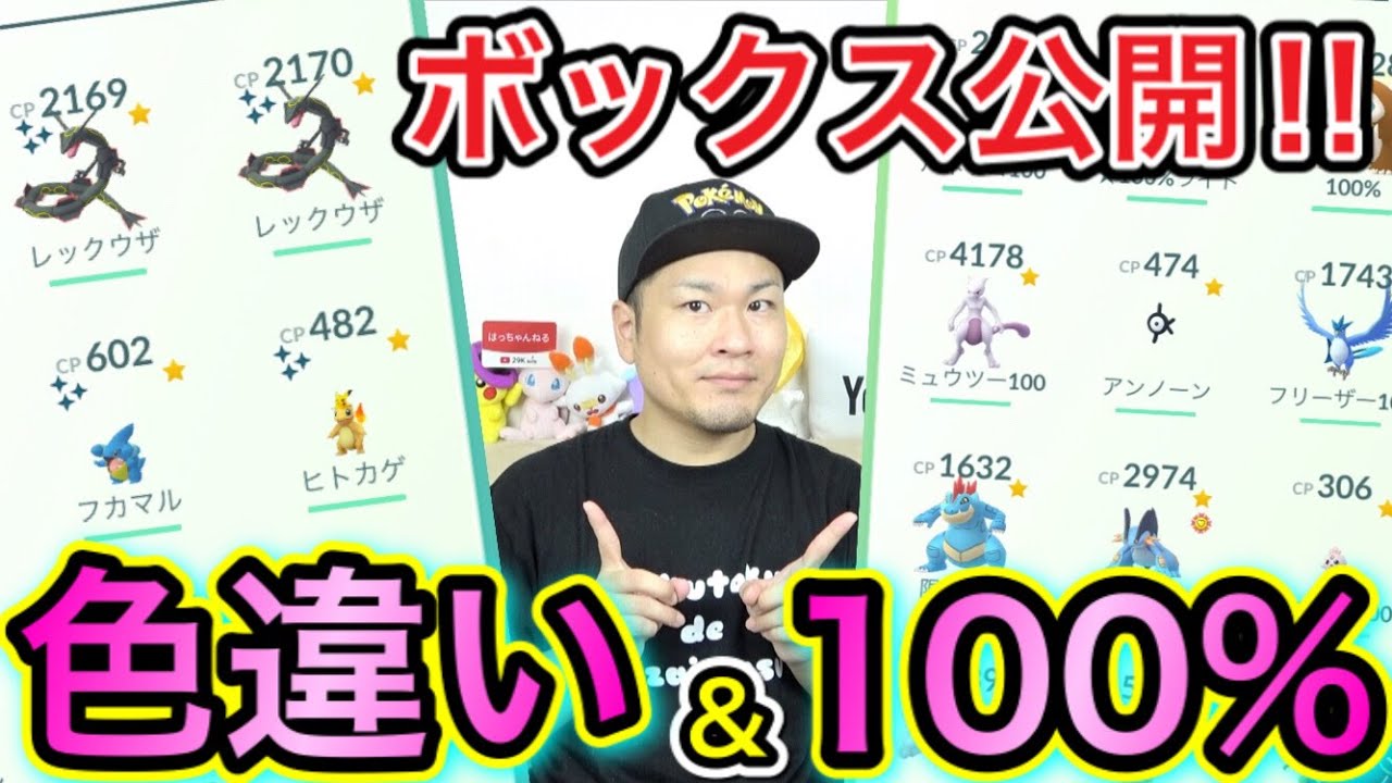 色違い 個体値100 ボックス大公開します ポケモンgo Youtube