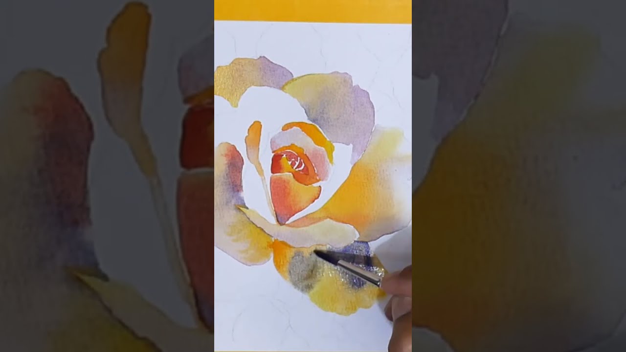 Beautiful Rose On Wonderful Day