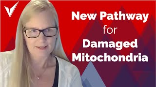 A New Pathway for Damaged Mitochondria - with Dr. Gustafsson