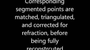 Results Visualisation of a 3D Stereo Vision Tracking System