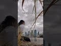 “WATCH THIS IF YOU FEEL LOST…”#australia #brisbane #viralvideo