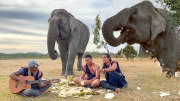 Tarzan Tây Nguyên | Cô Voi H