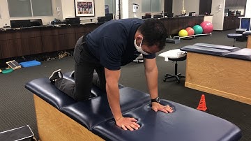 Quadruped shoulder flexion