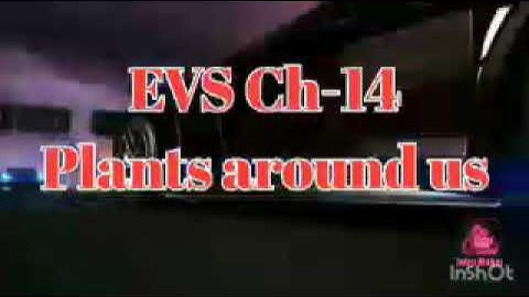 Class 2 EVS Ch-14 Plants around us 👍