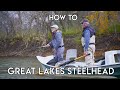 Great Lakes Steelhead