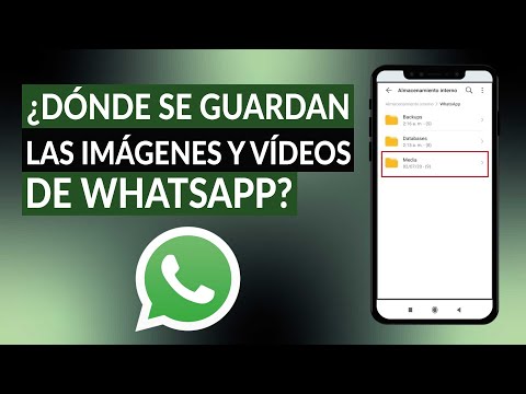 WHATSAPP: ¿Dónde se guardan las imágenes, archivos y videos en mi celular Android?