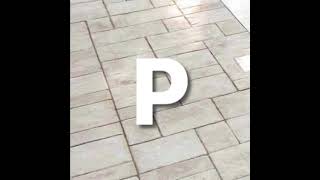 Pbs P Head Viacom In Pool Day