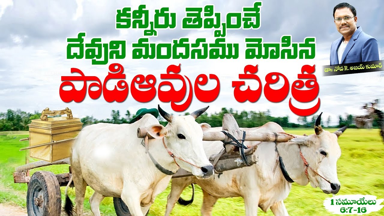 Hrt Touching Story of Cows - దేవుని మందసమును మోసిన పాడిఆవులు - Dr. Noah
