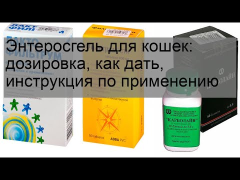 Энтеросгель для кошек: дозировка, как дать, инструкция по применению
