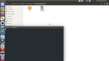 HelloWorld with #Golang (programming language )