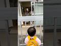 🍎おじいちゃんとおばあちゃんに朝のごあいさつをするむぎちゃん(2y3m4d No.4)
