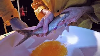 Hooked ON Hatcheries - Episode 1 - Lake Trout Egg Collection