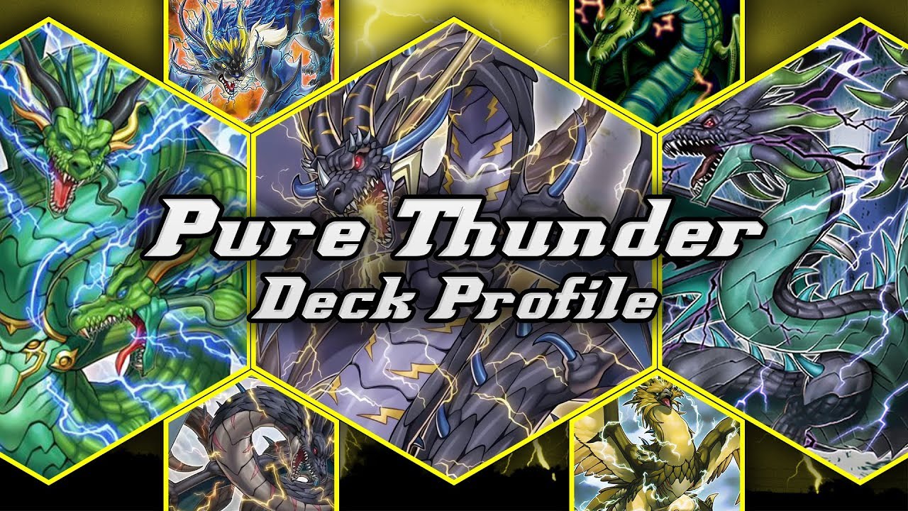 Pure Thunder Dragon Deck Profile!! (September 2019)