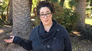 How Do You Use JPEGmini?