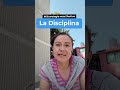 Mi estrategia más efectiva la disciplina #diseñoweb #freelance #disciplina #emprendedores #hábitos