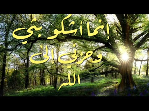 إنما أشكو بثي وحزني إلى الله الشيخ سالم العجمي حفظه الله تعالى