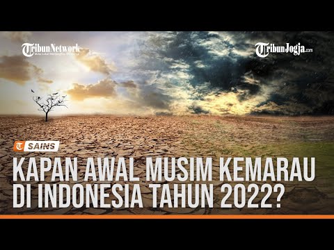 Video: Kapan pertengahan musim panas 2022