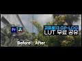 고프로13 세팅 | 무료 LUT 필터 공유 및 사용법 | 시네마틱한 색감을 위한 무료 LUT 4가지