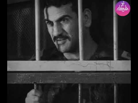 كلمة السر خطة الجاتوه عندما أنقذ اللواء أحمد رشدي مصر من عبود الزمر