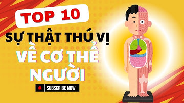 Có thể bạn chưa biết 🔴 Top 10 sự thật khoa học gây sốc về con người?